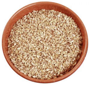 farro farro