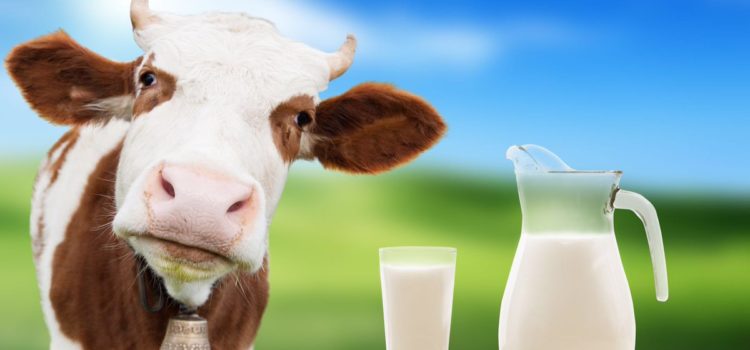Differenza tra latte pastorizzato, sterilizzato, UHT, di ...