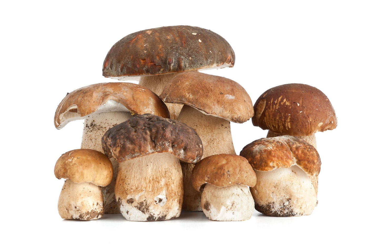 Medicine contro funghi di unghie