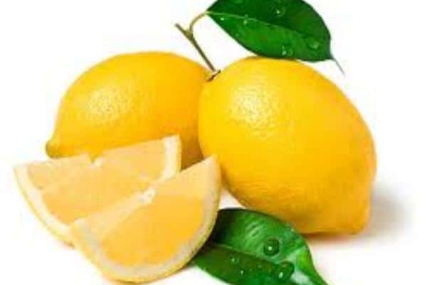I vantaggi del bere acqua e limone: quando i rimedi tradizionali prendono una rivincita sulla...