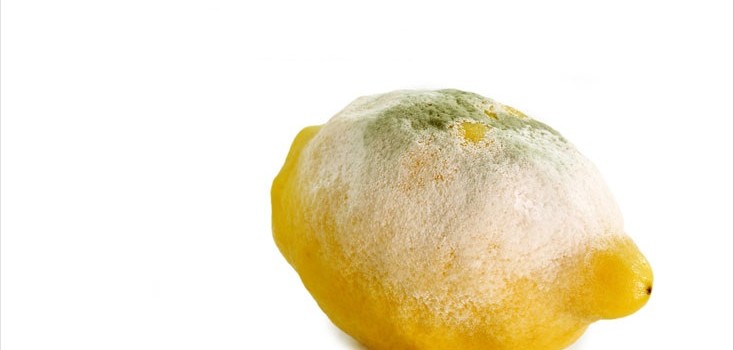 Unguenti di eruzione di acne medici su una faccia