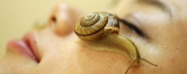 Come il fungo di unghia piaceri di essenza acetici