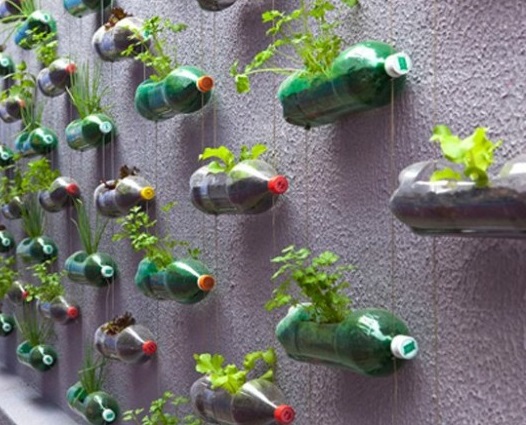 bottiglie vasi -giardino-verticale