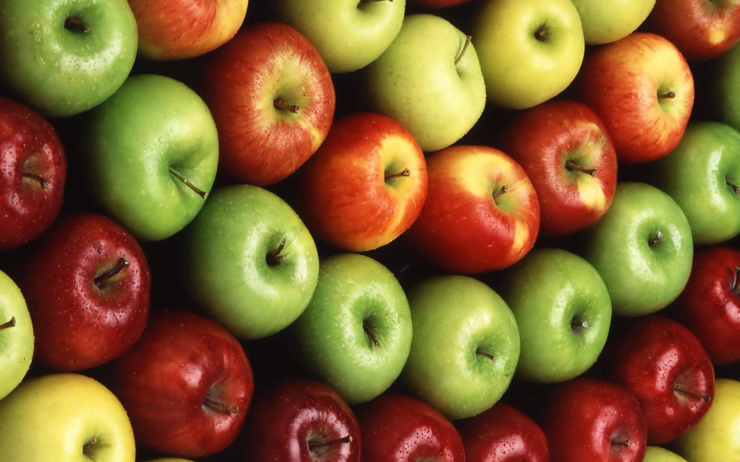 Maschera da olio doliva per la persona da punti neri