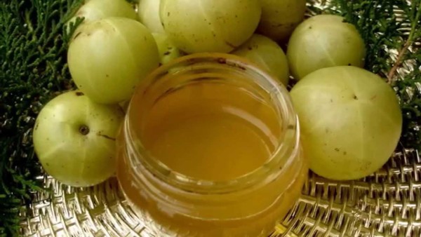 olio amla