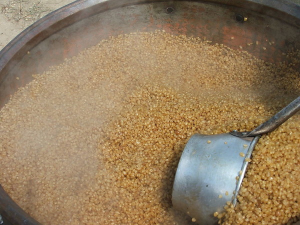 bulgur cottura