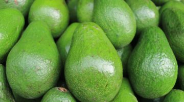 avocado
