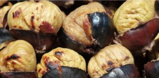 castagne