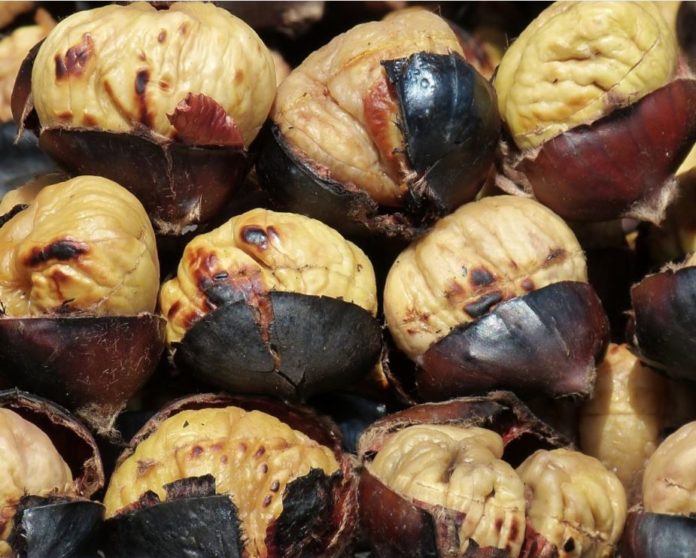 castagne castagne