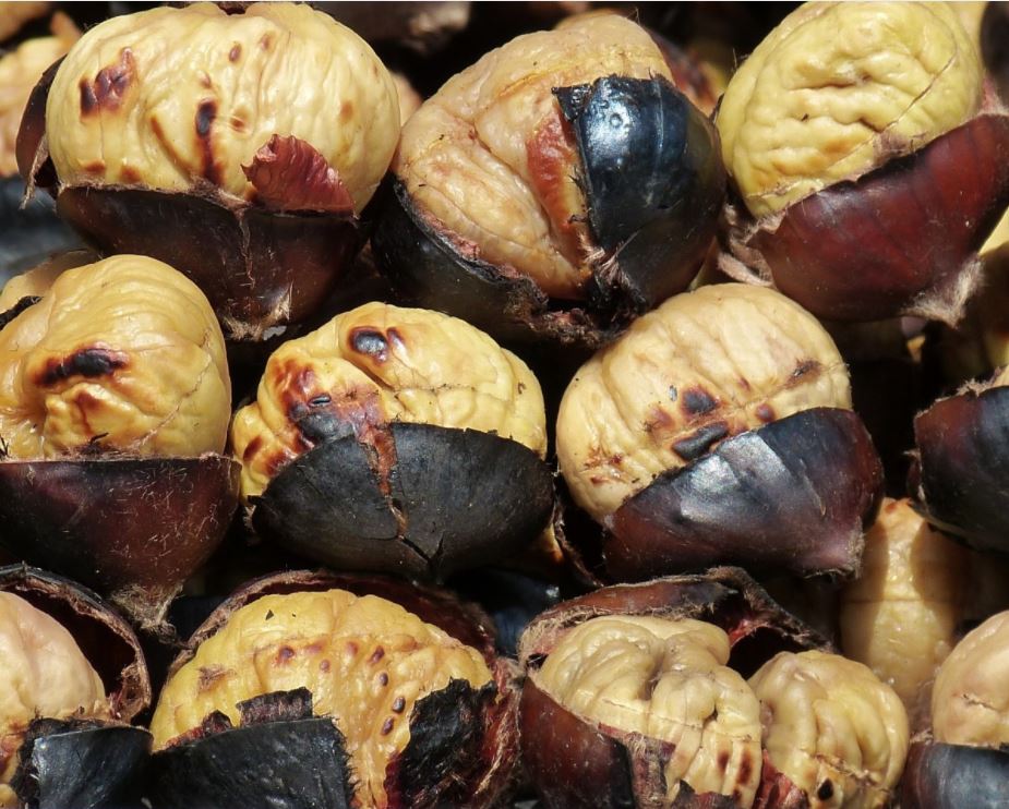 castagne
