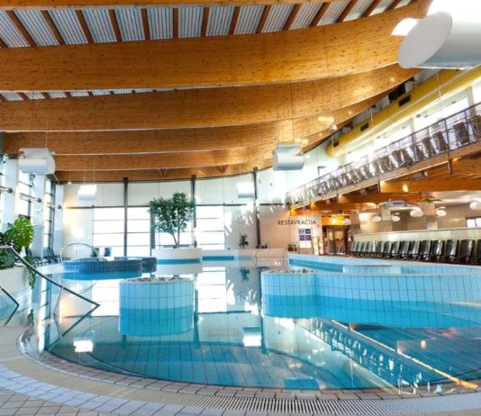 Terme Dolenjske Toplice