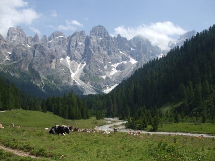trentino trentino
