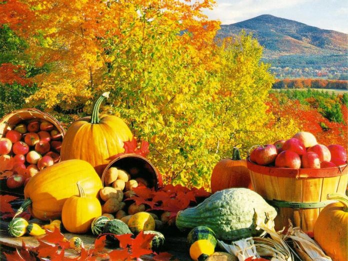 dieta autunno