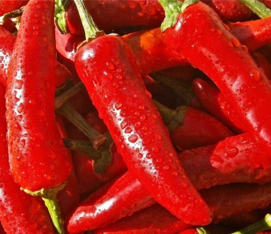 peperoncino