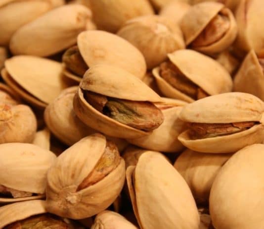 pistacchi