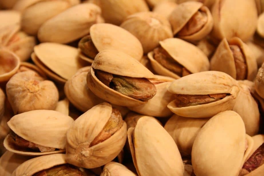 pistacchi