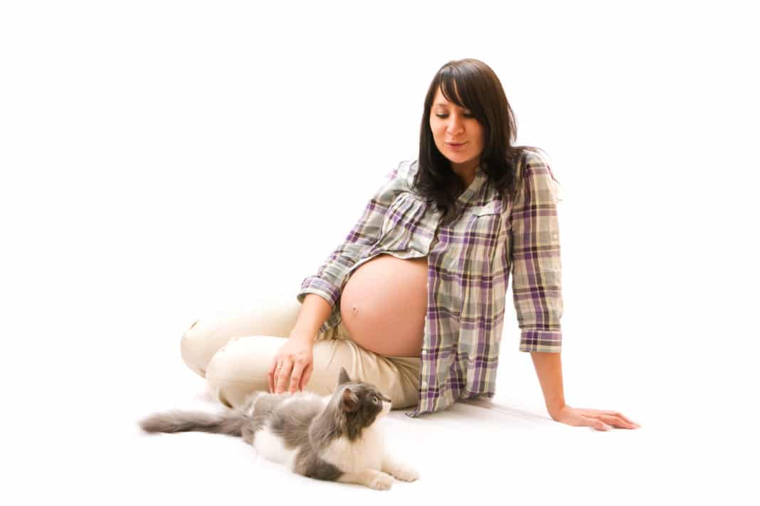 toxoplasmosi in gravidanza