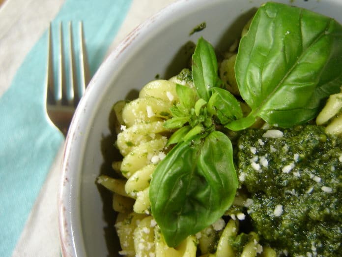 Il basilico e il pesto