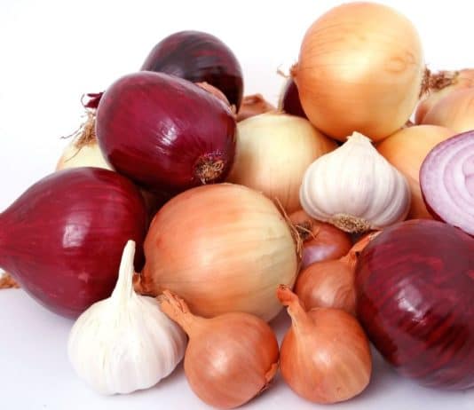 cipolla aglio scalogno