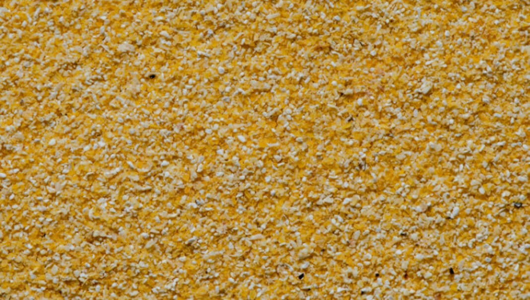 polenta