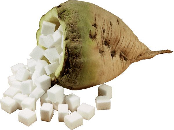 bietola con zucchero