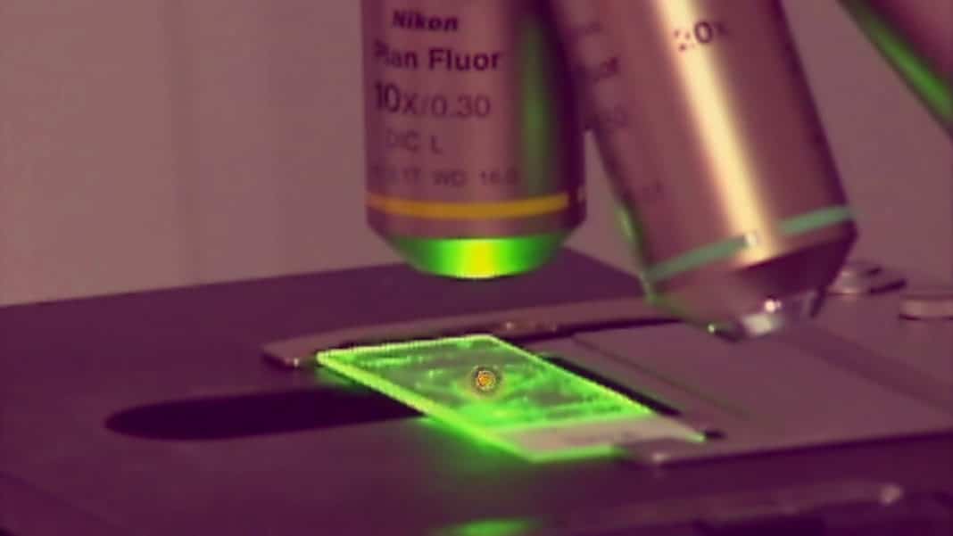 new-sars-tuttacronaca
