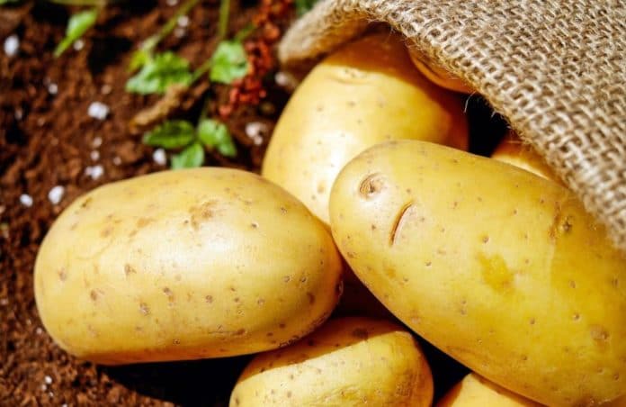 patate patate