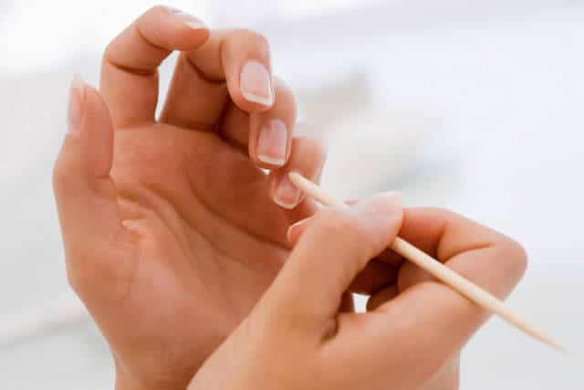 cuticole