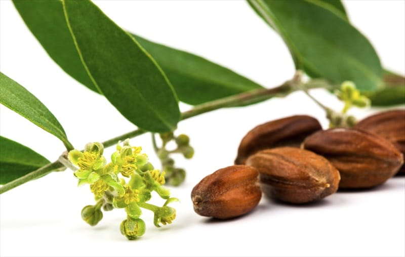 olio di jojoba oil