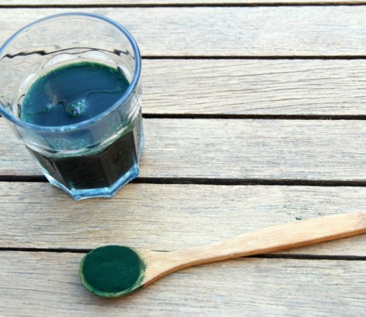 alga spirulina