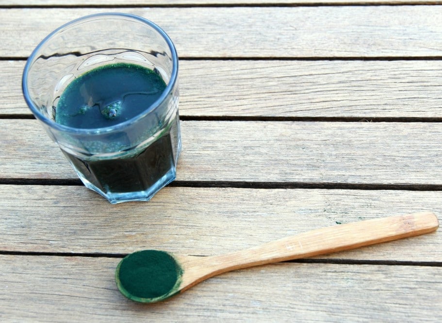 alga spirulina