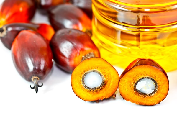 olio di palma