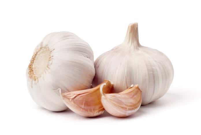 aglio antibiotico aglio antibiotico