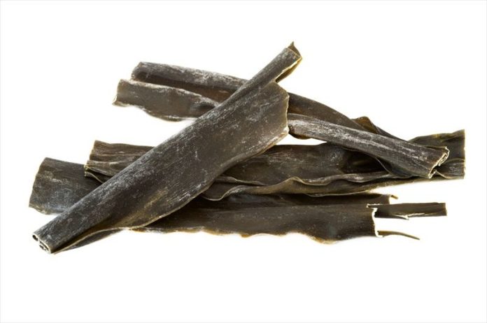 proprieta-alga-kombu usi proprieta-alga-kombu usi