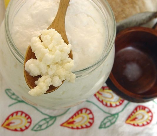 kefir