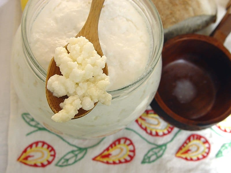 kefir