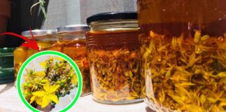olio-san-giovanni-iperico