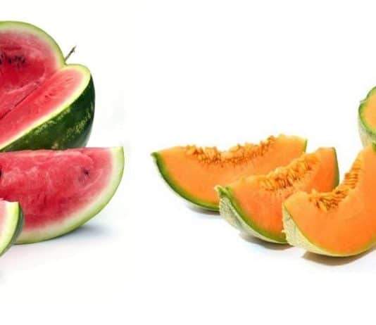 melone anguria cocomero maturi