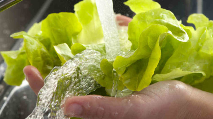 lavare insalata lavare insalata