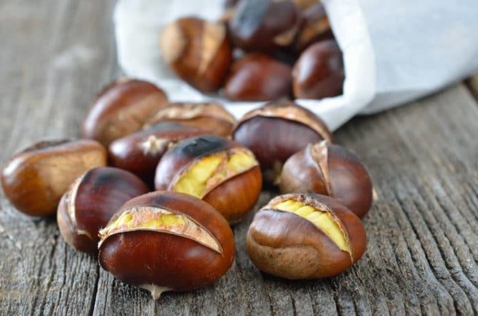 castagne cottura caldarroste castagne cottura caldarroste