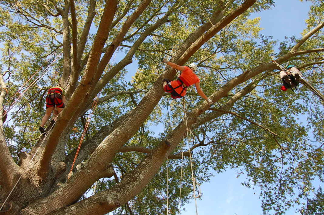 arrampicata