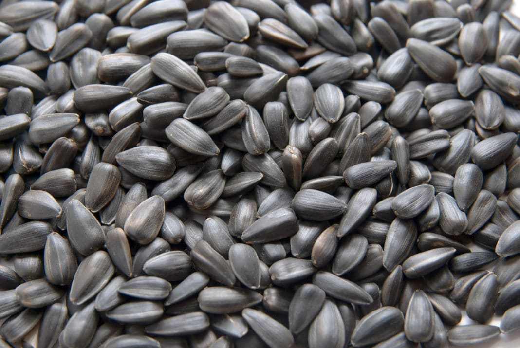 olio nero