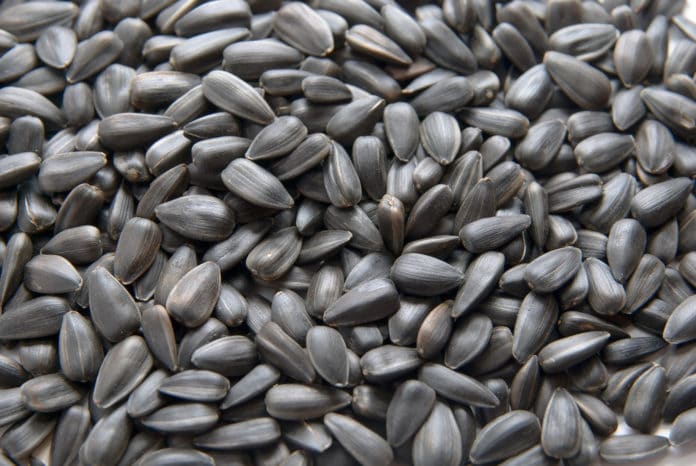 olio nero olio nero