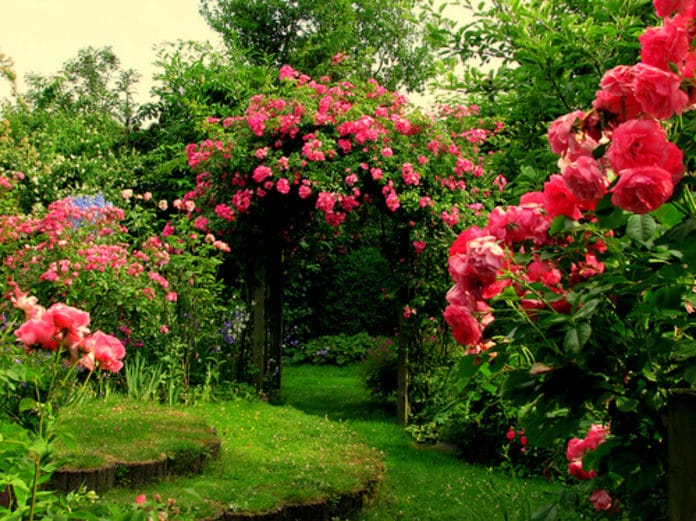 giardino