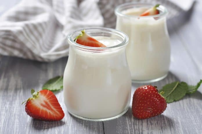 yogurt yogurt