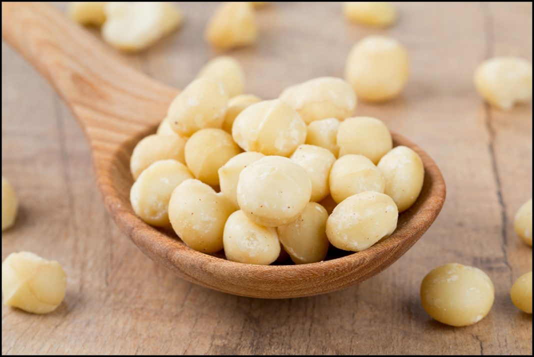 noci macadamia