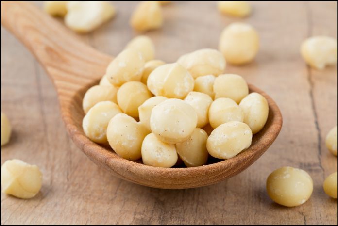noci macadamia noci macadamia