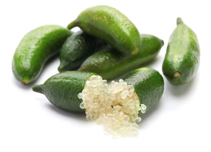 finger lime