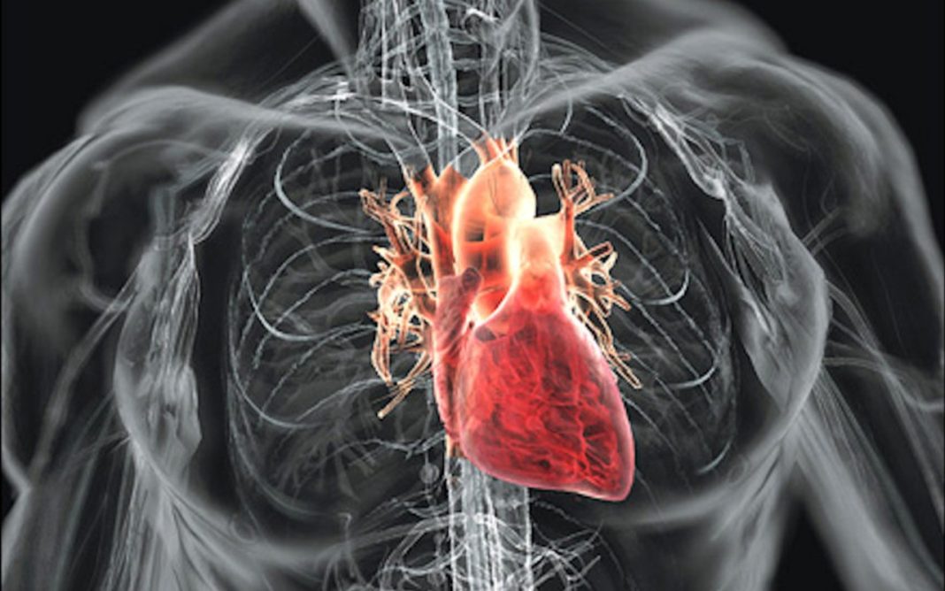 cuore-fibrillazione-atriale