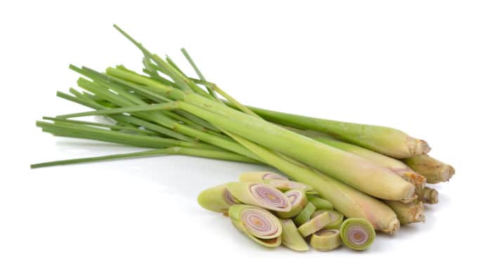 lemongrass citronella usi benefici lemongrass citronella usi benefici